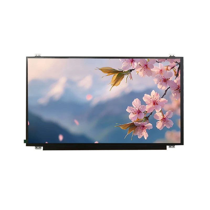 15.6 'HD వైడ్ టెంప్ IPS TFT LCD స్క్రీన్ మాడ్యూల్